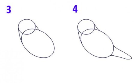 Схема рисования птицы