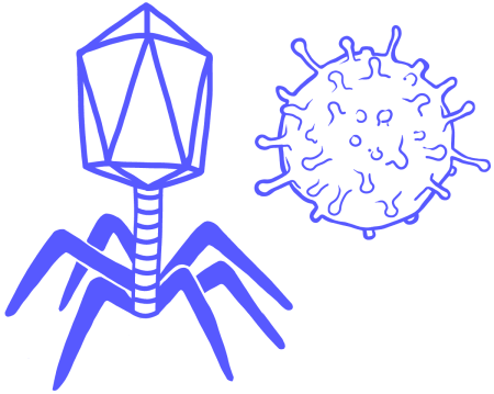 Вирус для рисования
