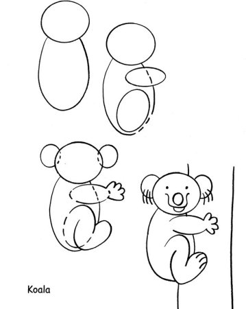 Как нарисовать коалу поэтапно для детей