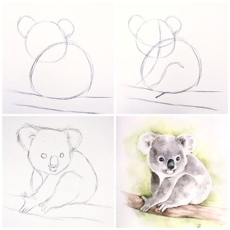 Как нарисовать коалу поэтапно для детей