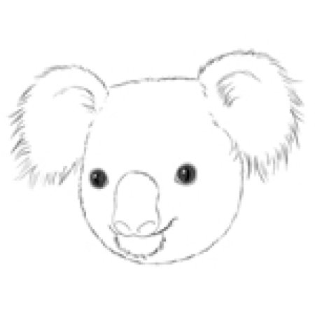 Животные красной книги карандашом