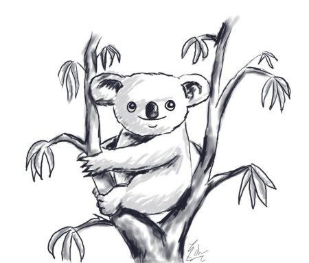 Эвкалипт рисунок детский