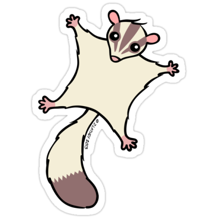 Лёгкие раскраски летяги