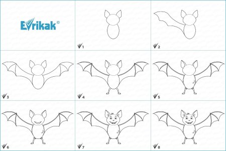 Обыкновенная летяга рисунок