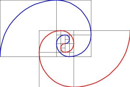 Золотая спираль спираль Фибоначчи