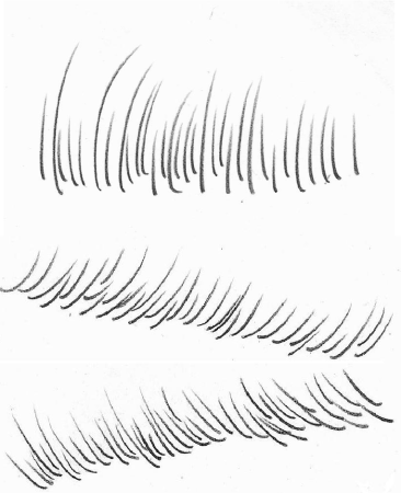 Схема рисования ресниц