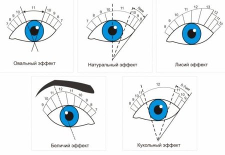 Моделирование ресниц схемы