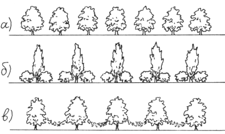 Ритм деревьев в композиции