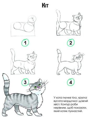 Схема рисования кошки