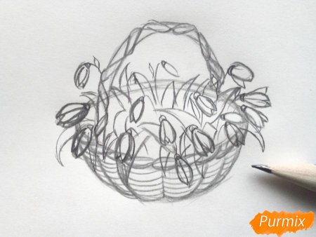 Рисование комнатные растения старшая группа