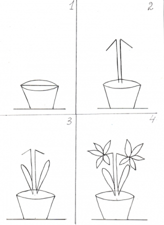 Поэтапное рисование цветы