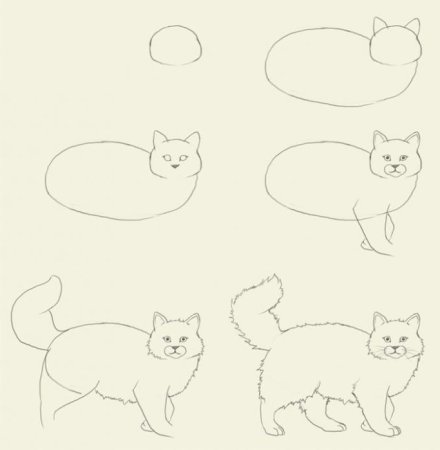 Поэтапное рисование кота