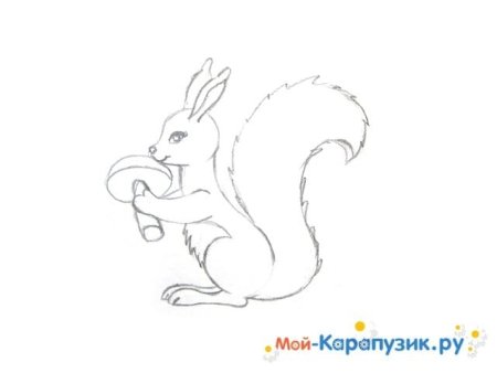 Рисунок белки из сказки о царе Салтане карандашом