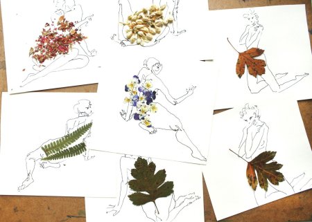 Гербарий листья деревьев для детского сада