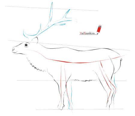 Рисунок на тему тундра