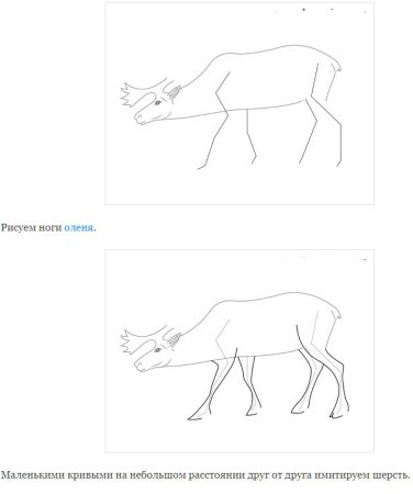 Поэтапное рисование оленя 4 класс