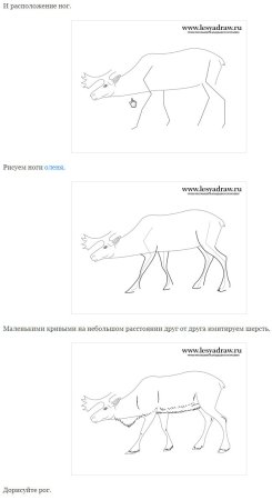 Полярный волк нарисовать