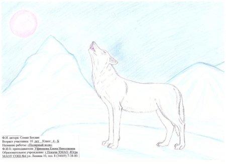 Рисунки северных народов