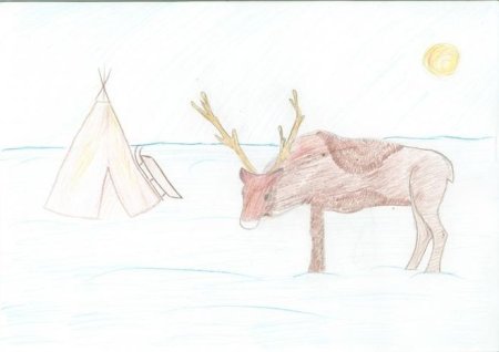 Тундра рисунок