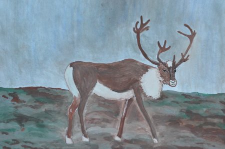 Северный олень рисунок карандашом поэтапно
