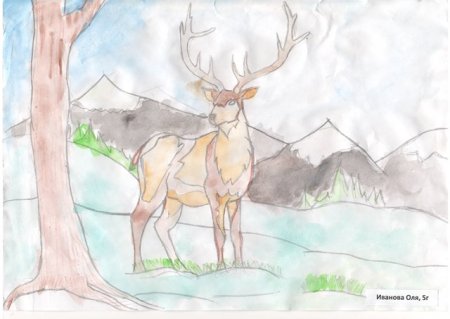 Рисование Северный олень