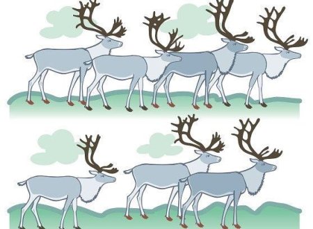 Тундра рисунок