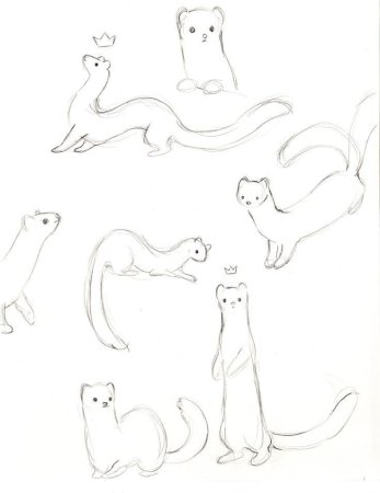 Хорек набросок