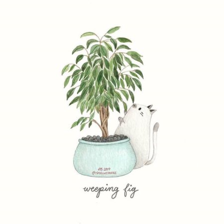 Дерево стилизованное в горшке