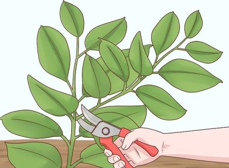 Миниатюрное тату эскиз фикус