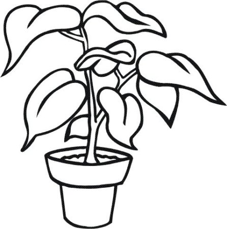 Раскраска растения в горшке