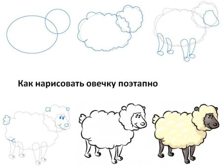 Схема рисования овечки для детей