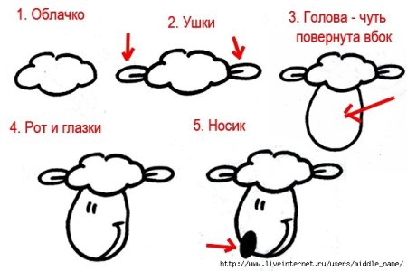Схема рисования барашка