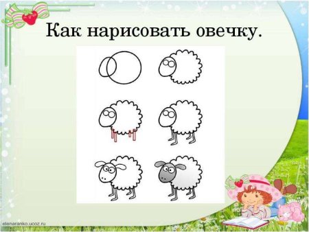 Как нарисовать овцу