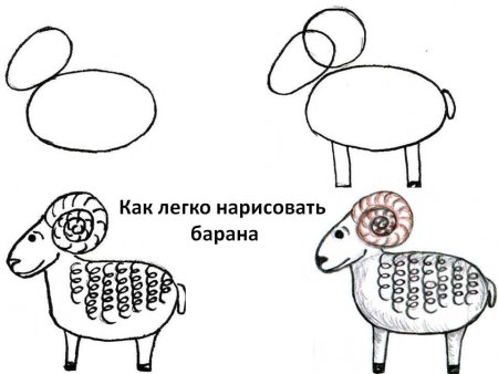 Как рисовать барана