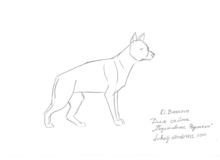 Поэтапное рисование немецкой овчарки
