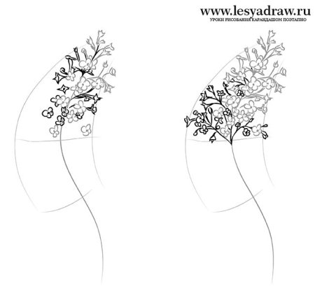 Сирень рисунок карандашом