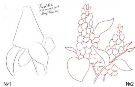 Сирень рисунок карандашом легко