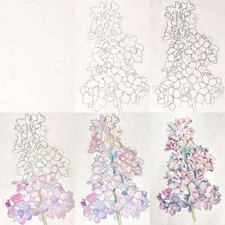 Сирень рисунок карандашом для детей