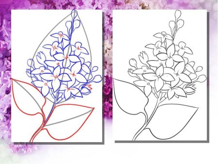 Рисунок на тему сирень