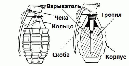 Схема гранаты ф1