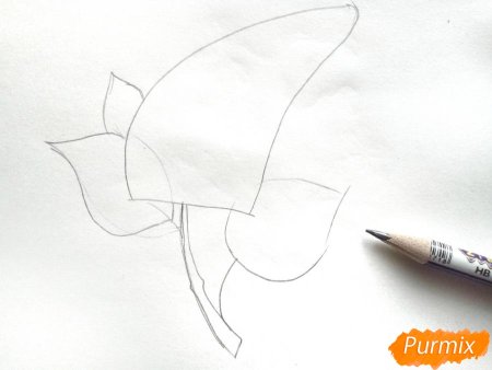 Сирень рисунок для детей поэтапно