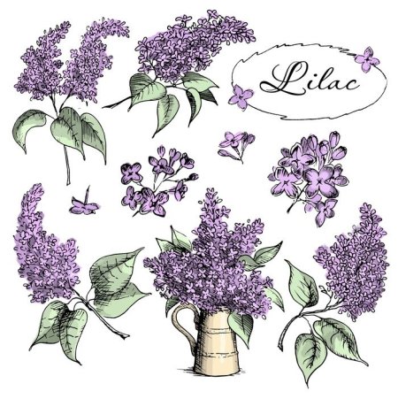 Стилизованная сирень