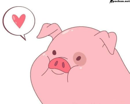 Гравити Фолз Свинка Пухля