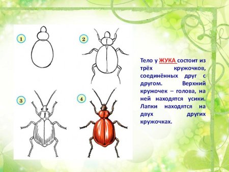 Как нарисовать стрекозу