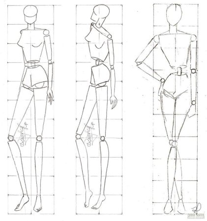 Модели человека для рисования для начинающих