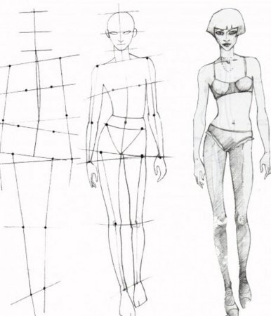 Пропорции женской фигуры для рисования