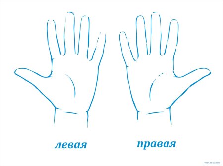 Кулак рисунок карандашом для начинающих