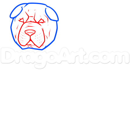 Вышивка крестом шарпей