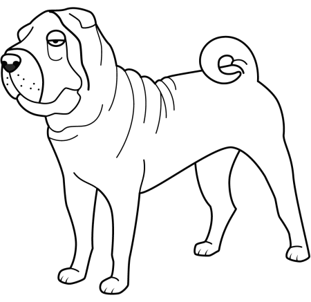 Шарпей карандашом