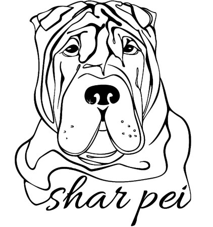 Бульдог рисунок карандашом